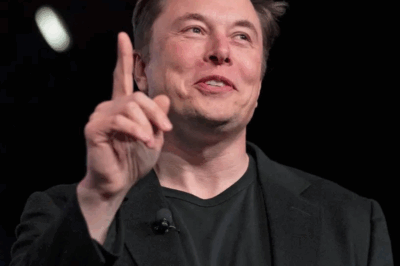 The secret behind Elon Musk’s $16.5 billion deal to rescue Samsung’s $25 billion factory that was almost completed but “shelved”