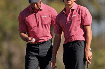 Tiger Woods has set a strict rule for his 16-year-old son Charlie before he can receive his share of his $1.3 BILLION fortune