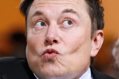 Elon Musk “kicked away” Tesla’s $68 billion with just one statement, stock price plummeted, shareholders were disappointed