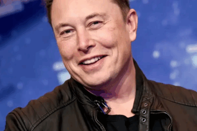 After Elon Musk provoked Donald Trump again, Tesla ‘evaporated’ billions of dollars
