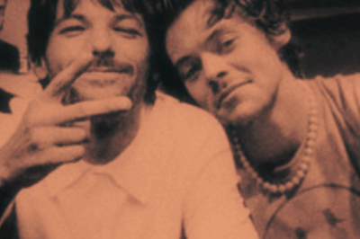 Louis Tomlinson Ignites Harry Styles Rumours After Liking, Then Disliking A Fan Edit