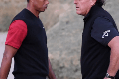 Tiger Woods “only needed 7 words” to completely destroy Phil Mickelson’s confidence.