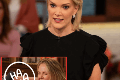 Megyn Kelly has launched a harsh attack on Charlize Theron after she bragged about her one-night stand with the 26-year-old.
