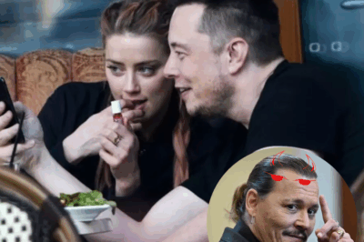 Elon Musk regularly visited Amber Heard late at night when Johnny Depp wasn’t home