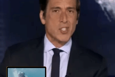 David Muir shocked ABC viewers as he shared a horror video of a diver being bitten by a shark.