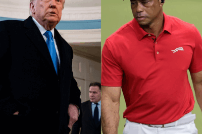 Adam Scott Reveals What Happened During Tiger Woods and Donald Trump Meeting About PGA Tour-LIV Golf Merger: ‘Don’t Get Your Hopes Too Bright’