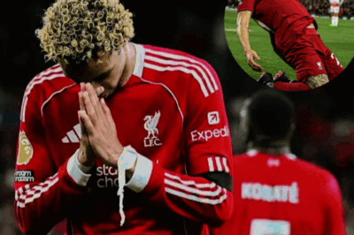 Nine of Darwin Nunez’s best moments for Liverpool