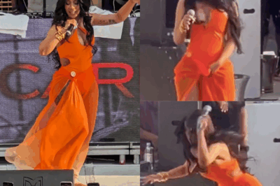 The most scandalous female star in showbiz received “bitter fruit” for throwing a microphone at a fan’s head.
