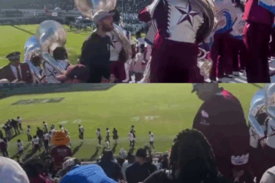Internet Explodes Over Viral Video of Texas Southern Tuba Player Throwing Punches Mid-Performance and Continuing to Play