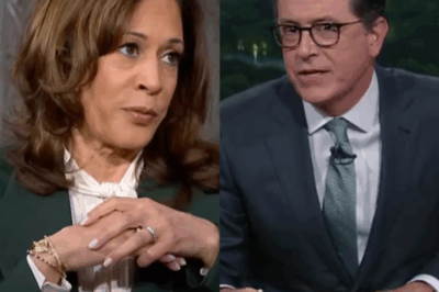 Stephen Colbert furiously ‘swatted flies’ over interview with Kamala Harris