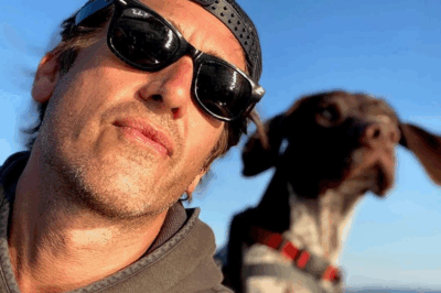 David Muir, where have you been? The World News Tonight anchor has been absent for unknown reasons.