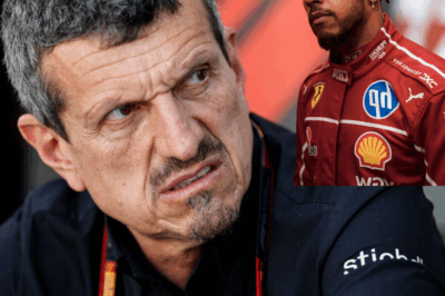 Former Formula 1 team director Guenther Steiner lashes out at Lewis Hamilton for his ‘give up attitude’