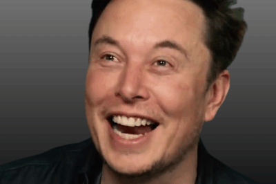 “With a mountain of work still on his plate, Elon Musk goes wandering online and ends up persuading a tech startup CEO to delete their Instagram account.”