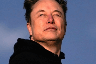 Inside Tesla’s Chaos: Leadership ‘Evacuation’, Talent Outflow, Canceled Projects Leave Elon Musk’s Empire Filled With Instability
