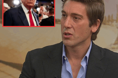 ‘They’re coming home’: David Muir, interrupts his regular Monday night broadcast with a crucial update from the White House on ‘new tariffs’