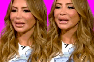 ”The Little Mermaid on Land”: THOM’s Larsa Pippen Shocks Fans With “Different Face” as Surgeon Weighs in on ‘Fuller’ Look