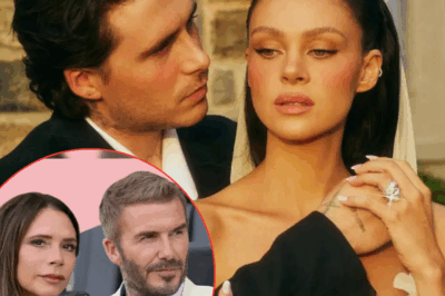 Nicola Peltz’s close friend criticizes Beckham family: “She doesn’t care about their fame or money”
