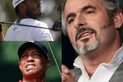 David Feherty shocks fans with his latest statement regarding Tiger Woods