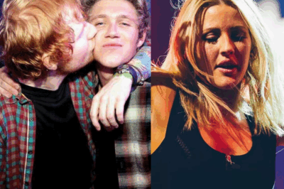 Niall Horan Reveals Where He Stands With Ed Sheeran After Ellie Goulding Cheating Rumors