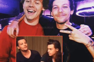 Louis Tomlinson Ignites Harry Styles Rumours After Liking, Then Disliking A Fan Edit