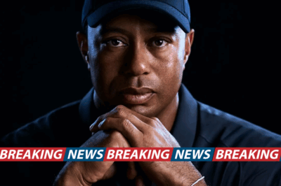 Tiger Woods appointed as new chairman of competition committee