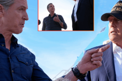 Gavin Newsom Trolled Donald Trump All Week And Trump Finally Snapped