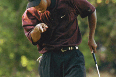 Tiger Woods remains the undisputed GOAT as one lucky fan recently turned a simple photo of the Golf legend into a whopping $284,000.