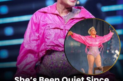 Pink’s Monumental 25th Anniversary: What’s Next for the Pop-Rock Icon?