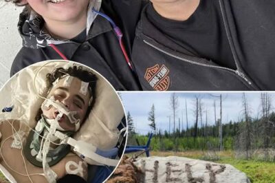 A missing teen has been found alive at the bottom of a steep ravine—days after vanishing without a trace. Rescue crews say it’s nothing short of a miracle he survived, but now the fight isn’t over. His mother says he’s clinging to life, hooked up to machines, every breath a battle. What began as a desperate search has turned into a tense wait, with family and friends holding on to hope that he’ll pull through. One wrong step nearly cost him everything—now, every second could decide his future… Full story below