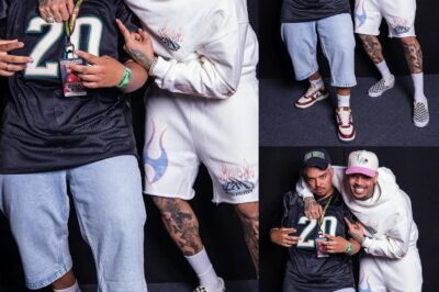 Chris Brown Meet-and-Greet Frenzy: Is $1,111 Worth the Risk of Homelessness?