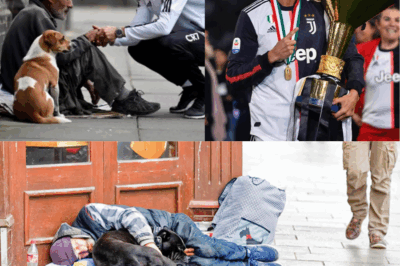 BREAKING: Ronaldo’s Secret $10M Gift to the Homeless EXPOSED! Away from the spotlight, the football legend made a jaw-dropping donation that no one saw coming… and the hidden detail about dogs will melt your heart!