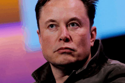 The British Prime Minister has criticized billionaire Elon Musk’s recent speech for “sowing discord in British democracy”.