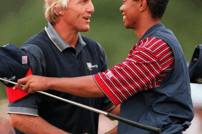 Greg Norman has offered his verdict on a rumour surrounding Tiger Woods and his future plans after officially leaving LIV Golf.