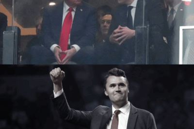 Charlie Kirk desperately wanted Elon Musk and Donald Trump back together. He succeeded