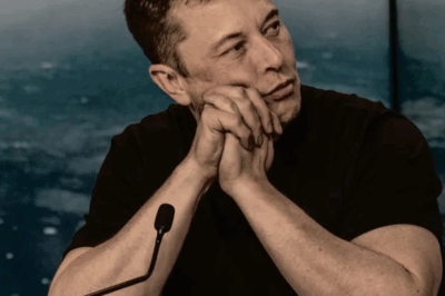 “Bad luck” has not let go of Elon Musk as the number of people returning to buy electric cars is… ‘losing momentum’.