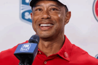 Tiger Woods advised against serving as Ryder Cup captain in 2027