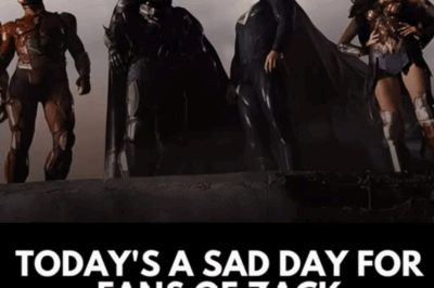 Today’s a Sad Day For Fans of Zack Snyder’s DC Movies
