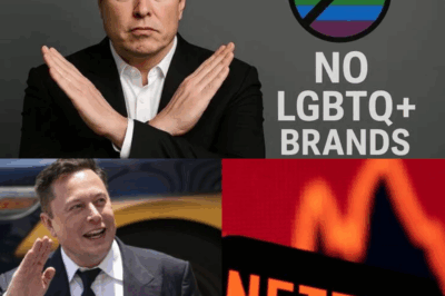 Elon Musk cancels Netflix subscription over pro-trans show creator insulting Charlie Kirk