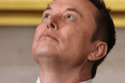 Report: Billionaire Elon Musk’s corporate system is facing a brain drain at the leadership level