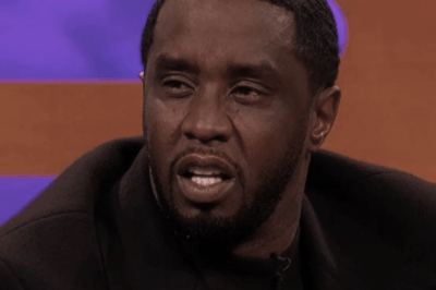 Diddy admitted all his mistakes, begged the judge for leniency because…’God’