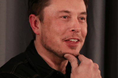 Elon Musk’s Texas real estate empire is far more extensive than previously believed.