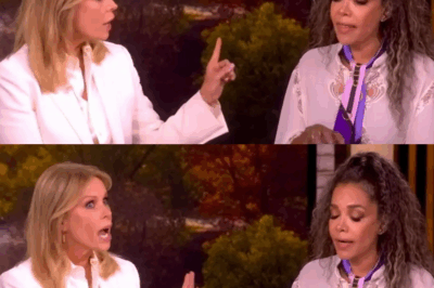 ‘The View’ broadcast turns into extremist brawl as Sunny Hostin argues with Cheryl Hines over her husband’s qualifications