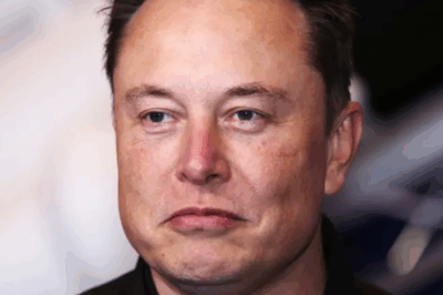 Oh my god, even Elon Musk is willing to quit his job because of inadequate salary!