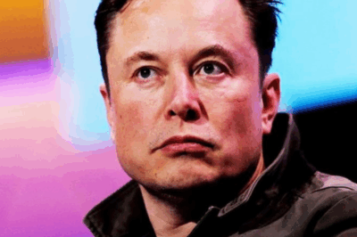 Millions of people expressed skepticism about Elon Musk’s new trick when he just launched an unimaginable product.