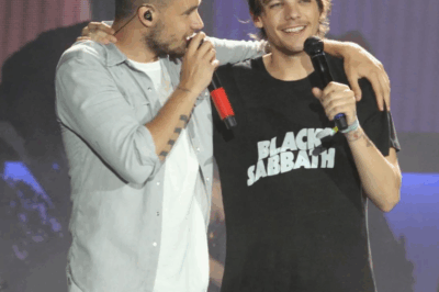 Louis Tomlinson reveals he’ll ‘forever’ despise ‘horrible f***er’ Logan Paul for his Liam Payne interview