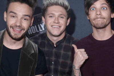 Louis Tomlinson heartbreakingly recounted the moment he learned of Liam Payne’s passing through Niall Horan.