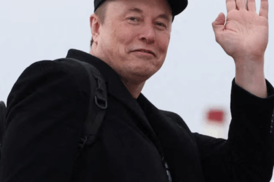 Tesla will disappear in the next 10 years under pressure from BYD and Elon Musk may leave the electric car industry