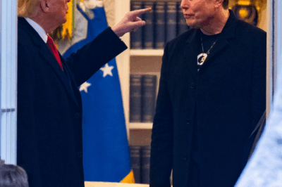 Mr. Trump commented that the rift in the relationship between him and Musk was “a very silly moment” in the billionaire’s life.