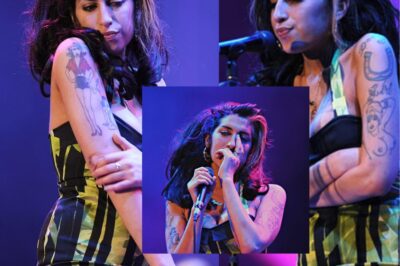 Amy Winehouse’s life will hit the small screen as book on her songwriting genius, drink and drugs addictions and troubled relationships is turned into eight-part drama