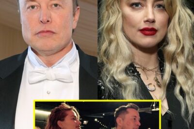 The moment Amber Heard finally spoke publicly about her split with Elon Musk, jaws dropped worldwide.